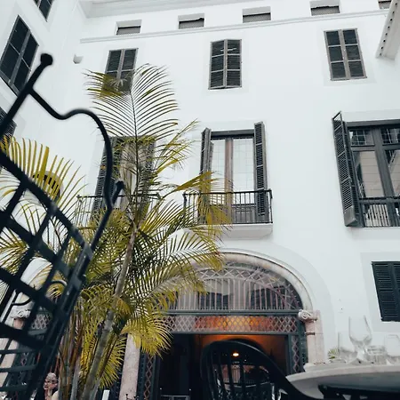 Born Palma