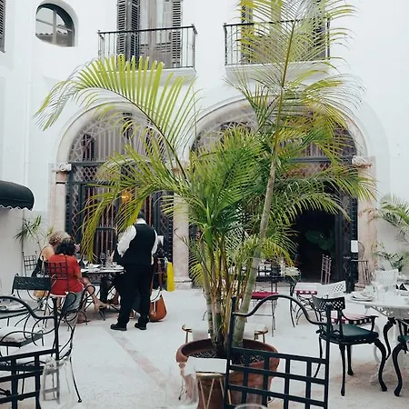 Born Palma